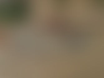 Crisis in Colombia: UN Raises Concerns Over Mercury Contamination in the Atrato River.