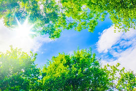 法令順守・適正処理を徹底した安心の対応