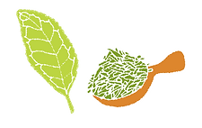 茶葉のイラスト