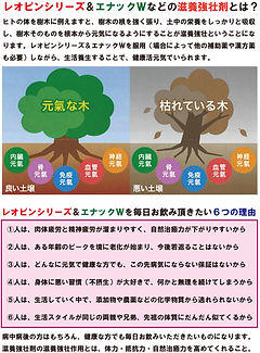 レオピンエナック