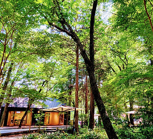 森の中の建物