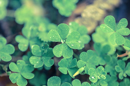 三沢病院向かい