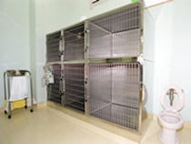 入院施設(犬・猫別室)