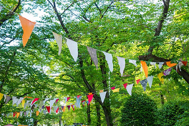 森の木に架けられた旗