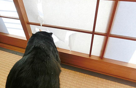 障子