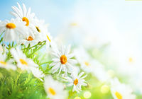 精神科・治療方法