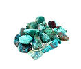chrysocolle.jpg