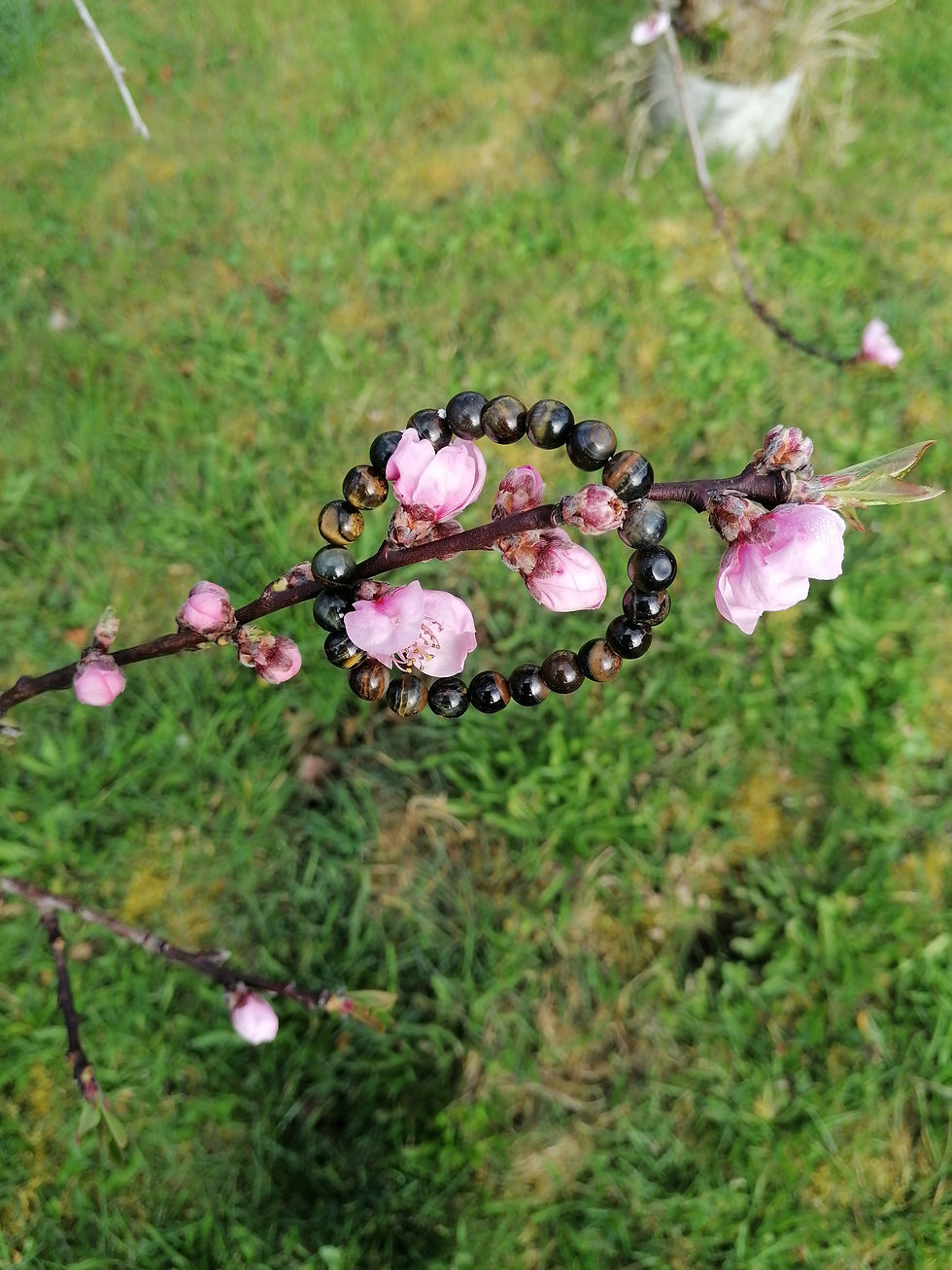 Bracelet Œil  de Faucon Homme Fehu