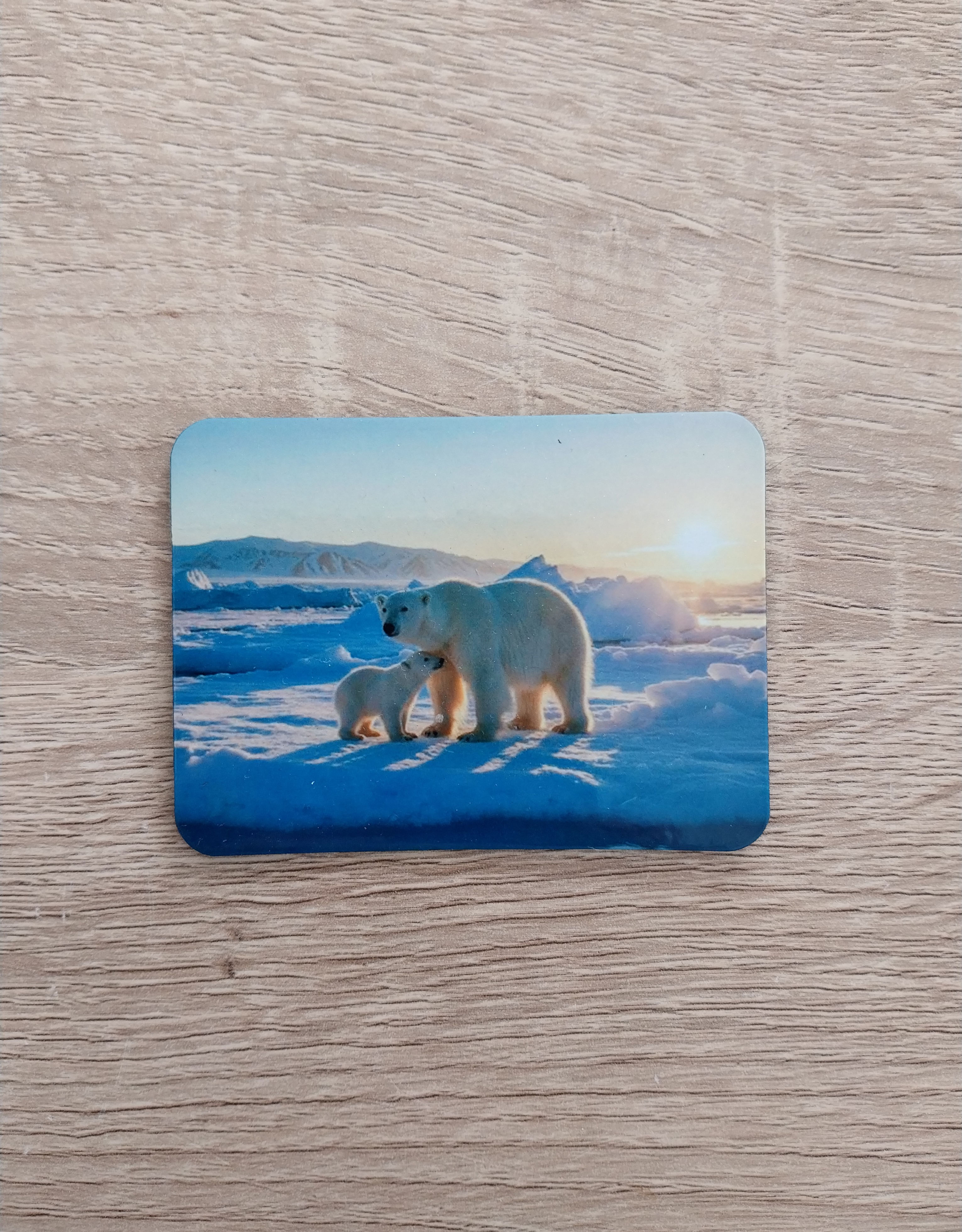 Magnet Ours Polaires