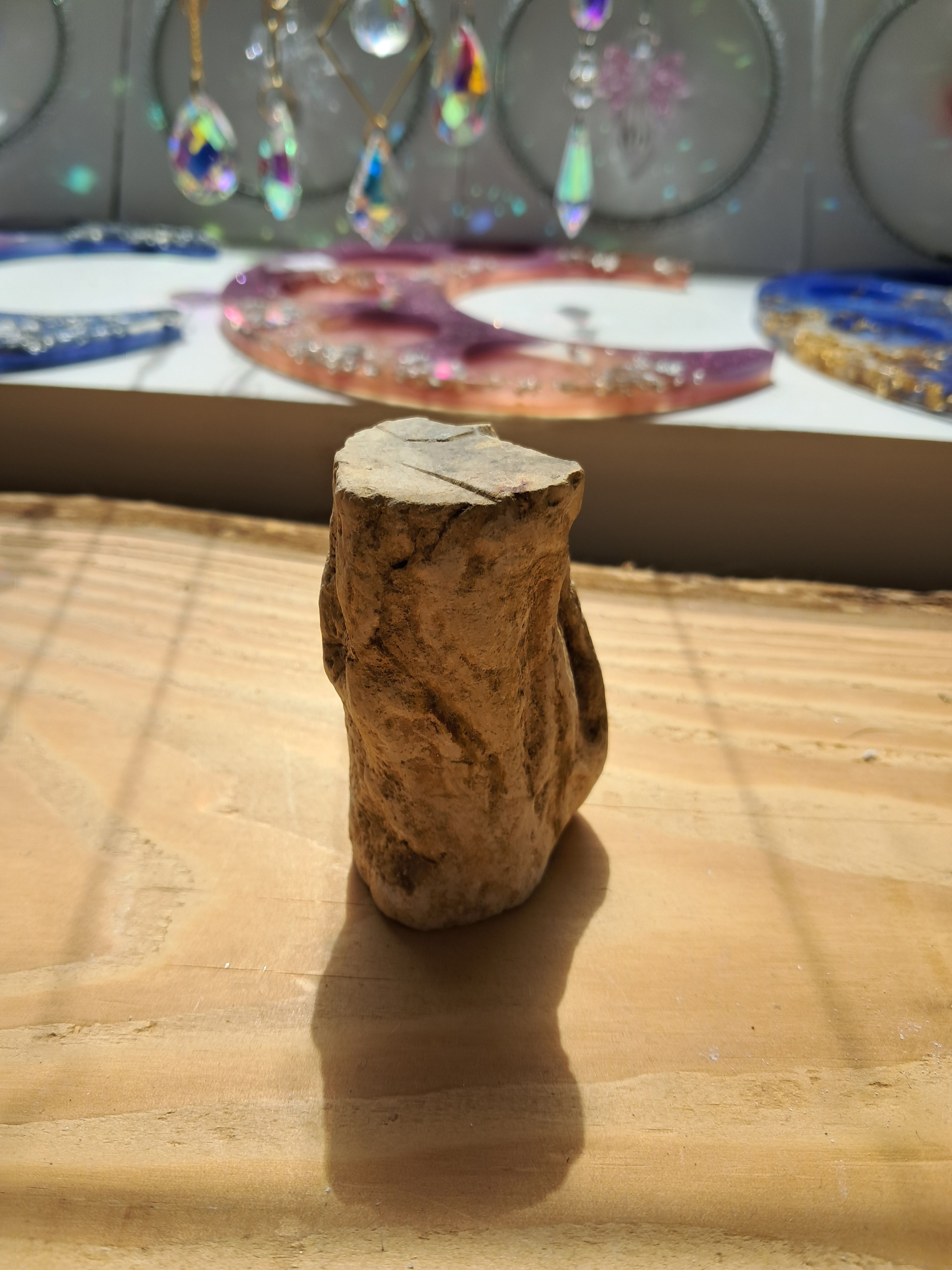 Bois Fossilisé brut 141 Grammes