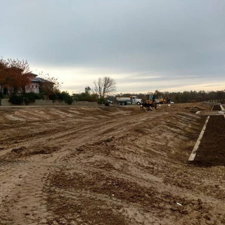 Finish Grading New Olive Orchard