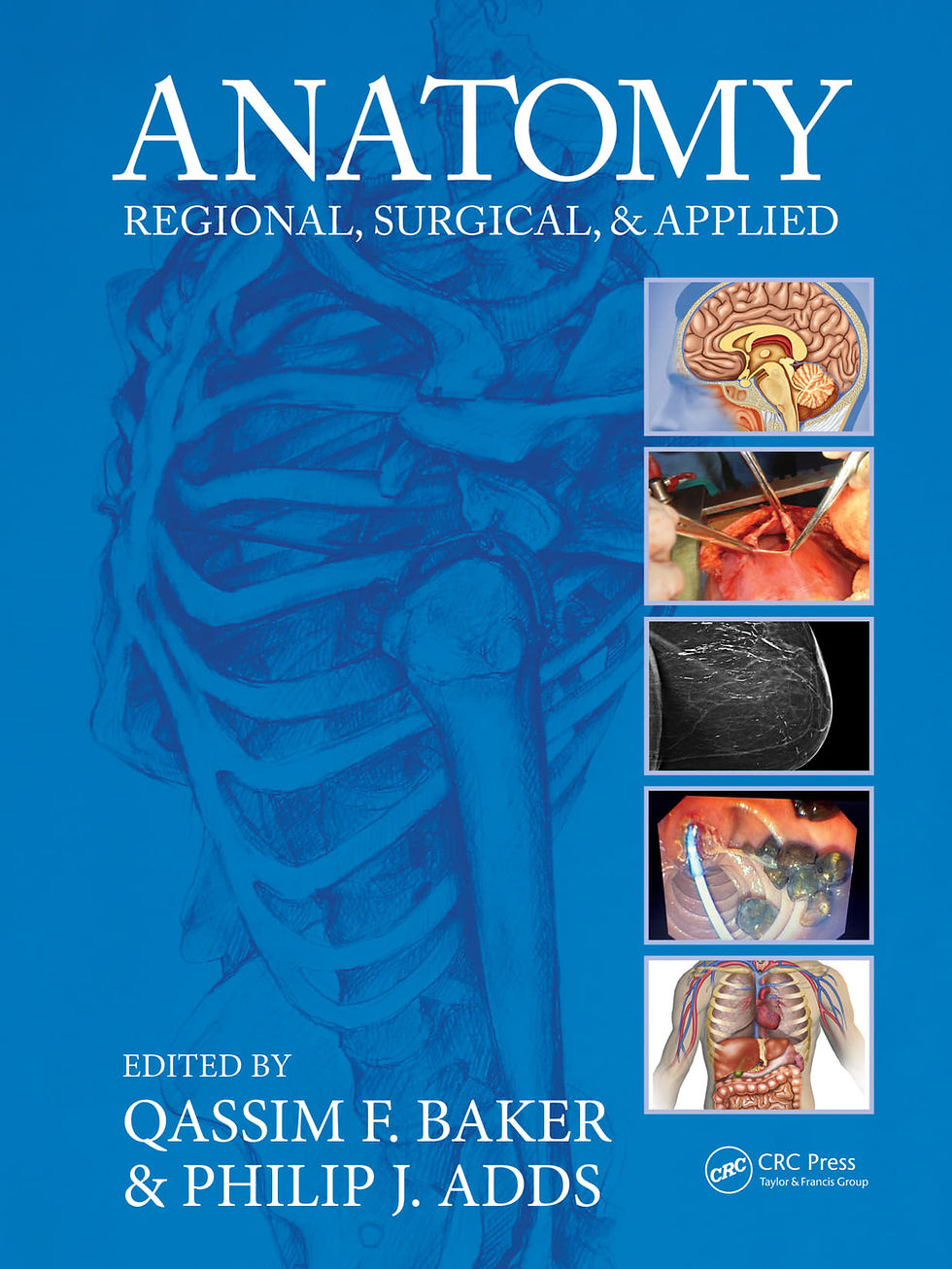 Anatomy: Regional, Surgical, and Applied ISBN: 1032321148 | Book Preview