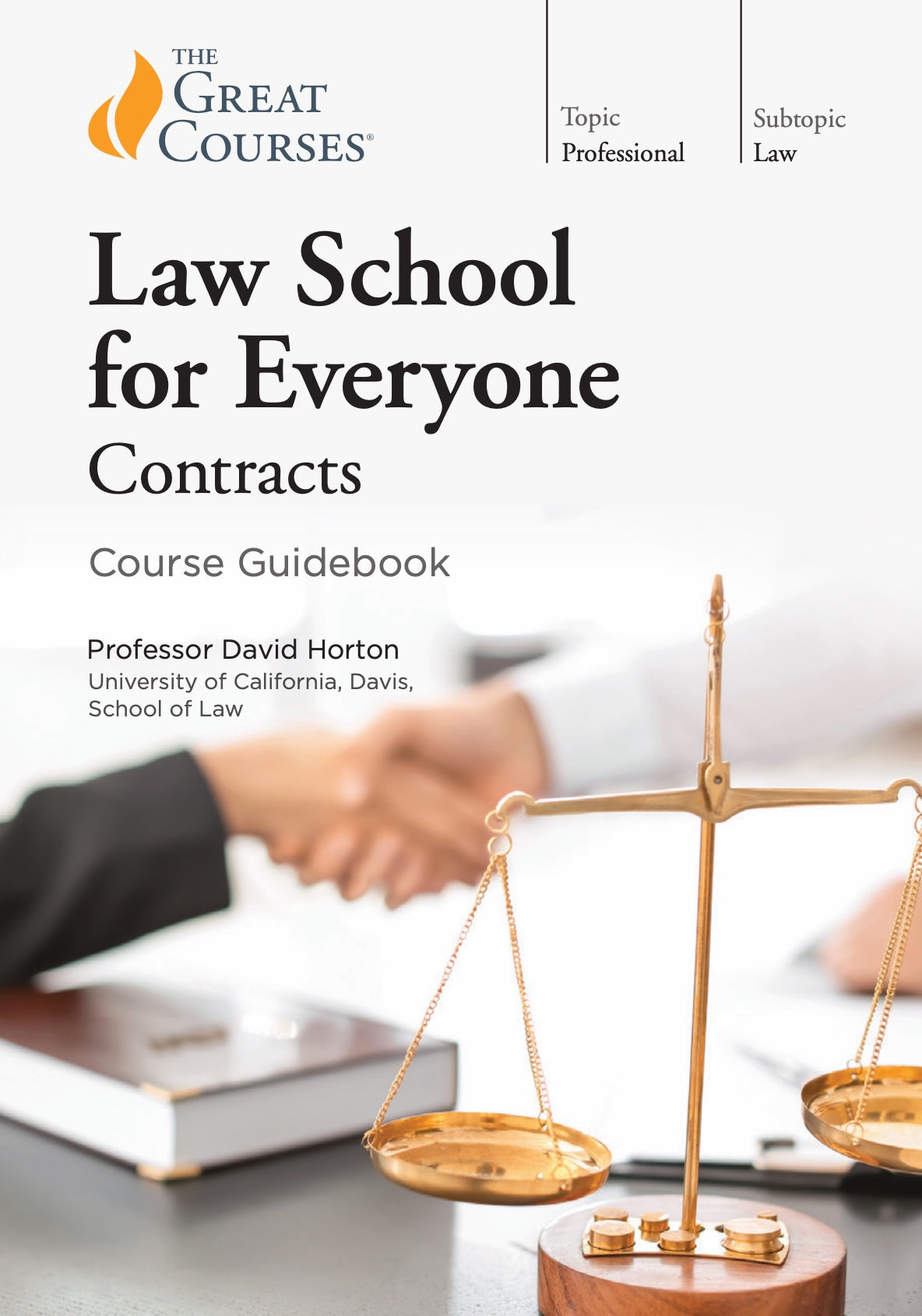 Law School for Everyone: Contracts – David Horton | Book Cover