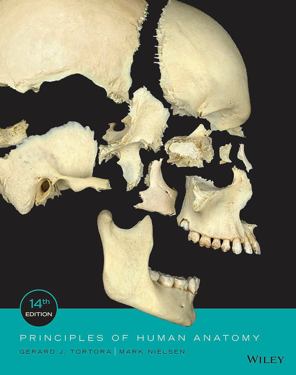 Principles of Human Anatomy 14th Edition | Book Preview