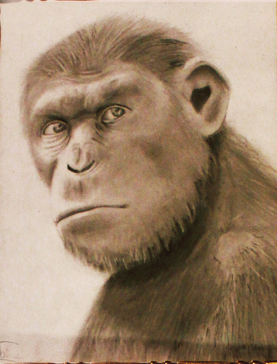 saabineCOIRETportraitdefamille-