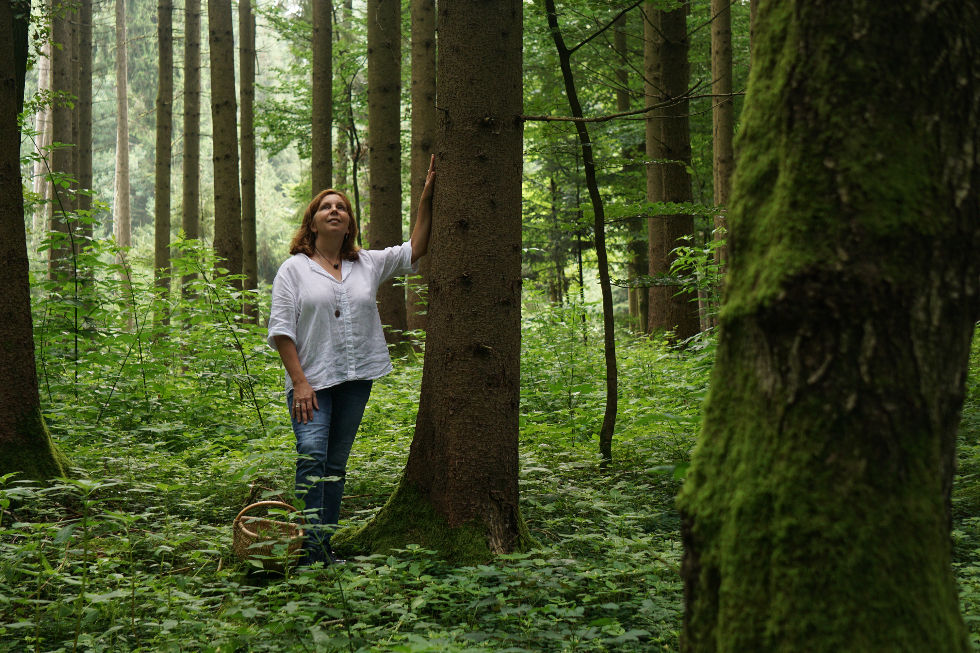 Aura reinigen und stärken mit Hilfe der Natur
