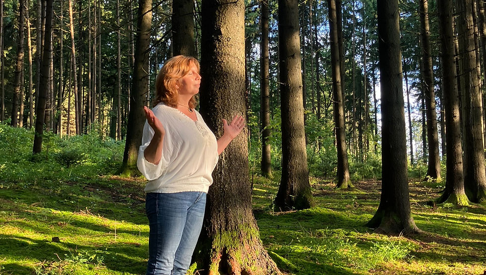 Der TEM Onlinekurs ist kein „Pflanzenkurs“ im herkömmlichen Sinne, sondern ein Kompass, um dich selbst, deinen Körper und die Pflanzenwelt als zusammenhängendes System zu begreifen.