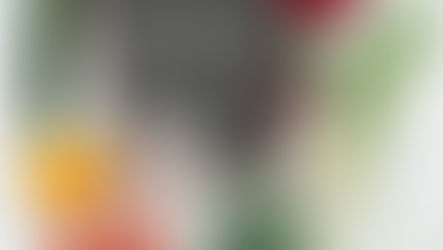 10 Delicious And Easy Vegan Recipe Ideas You Must Try Today