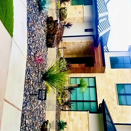 Modern 'desert' style landscape in Southlake, TX, featuring colorful, low-maintenance plants and geometric design elements.