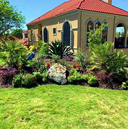 Landscape design in Rockwall, TX, featuring hardy shrubs, focal plants, and colorful perennials.