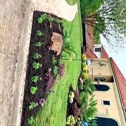 Landscape design in Rockwall, TX, featuring hardy shrubs, focal plants, and colorful perennials.