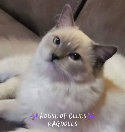 495929142_10226878060553372_716683565792