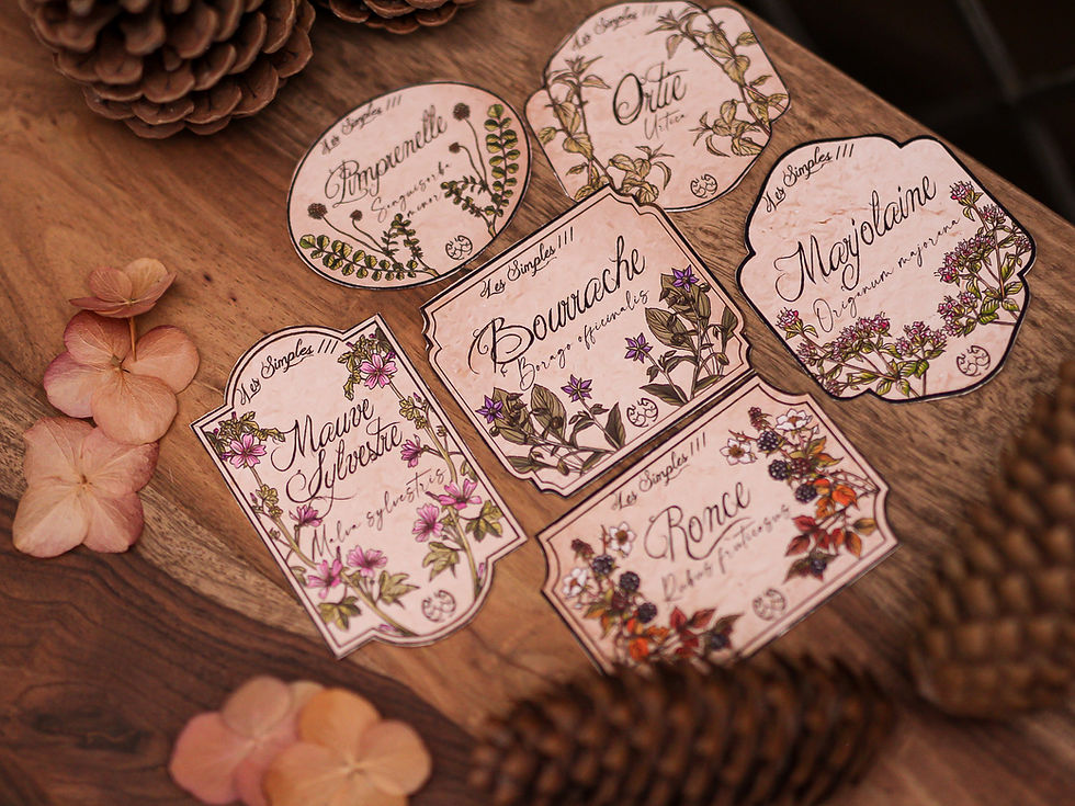 Thumbnail: étiquettes fantasy dessin plantes herbes citrouille cosy forêt papier recyclé le seigneur des anneaux féerique