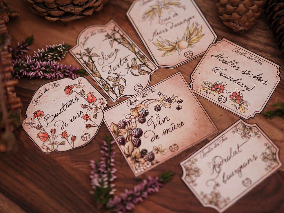 Thumbnail: étiquettes fantasy dessin plantes herbes citrouille cosy forêt papier recyclé le seigneur des anneaux féerique