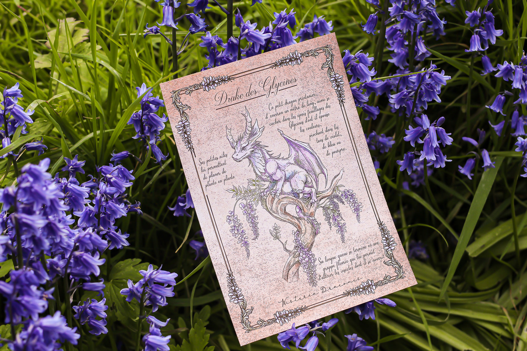 print illustration fantasy dessin dragon féerique printemps fleurs forêt papier recyclé le seigneur des anneaux féerique