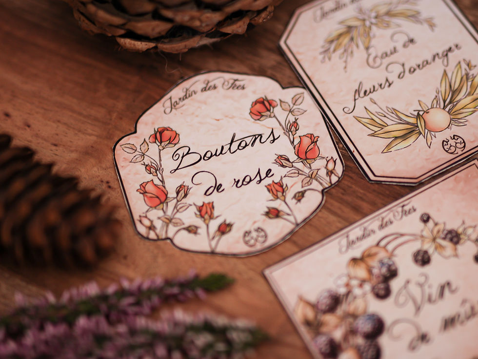 Thumbnail: étiquettes fantasy dessin plantes herbes citrouille cosy forêt papier recyclé le seigneur des anneaux féerique