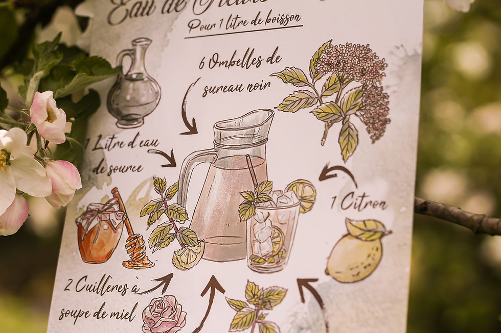 Thumbnail: print illustration fantasy dessin fleurs de sureau cosy printemps forêt papier recyclé le seigneur des anneaux féerique