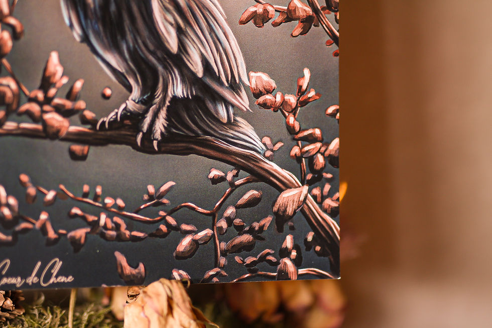 Thumbnail: print illustration fantasy dessin chouette nuit forêt papier recyclé le seigneur des anneaux féerique