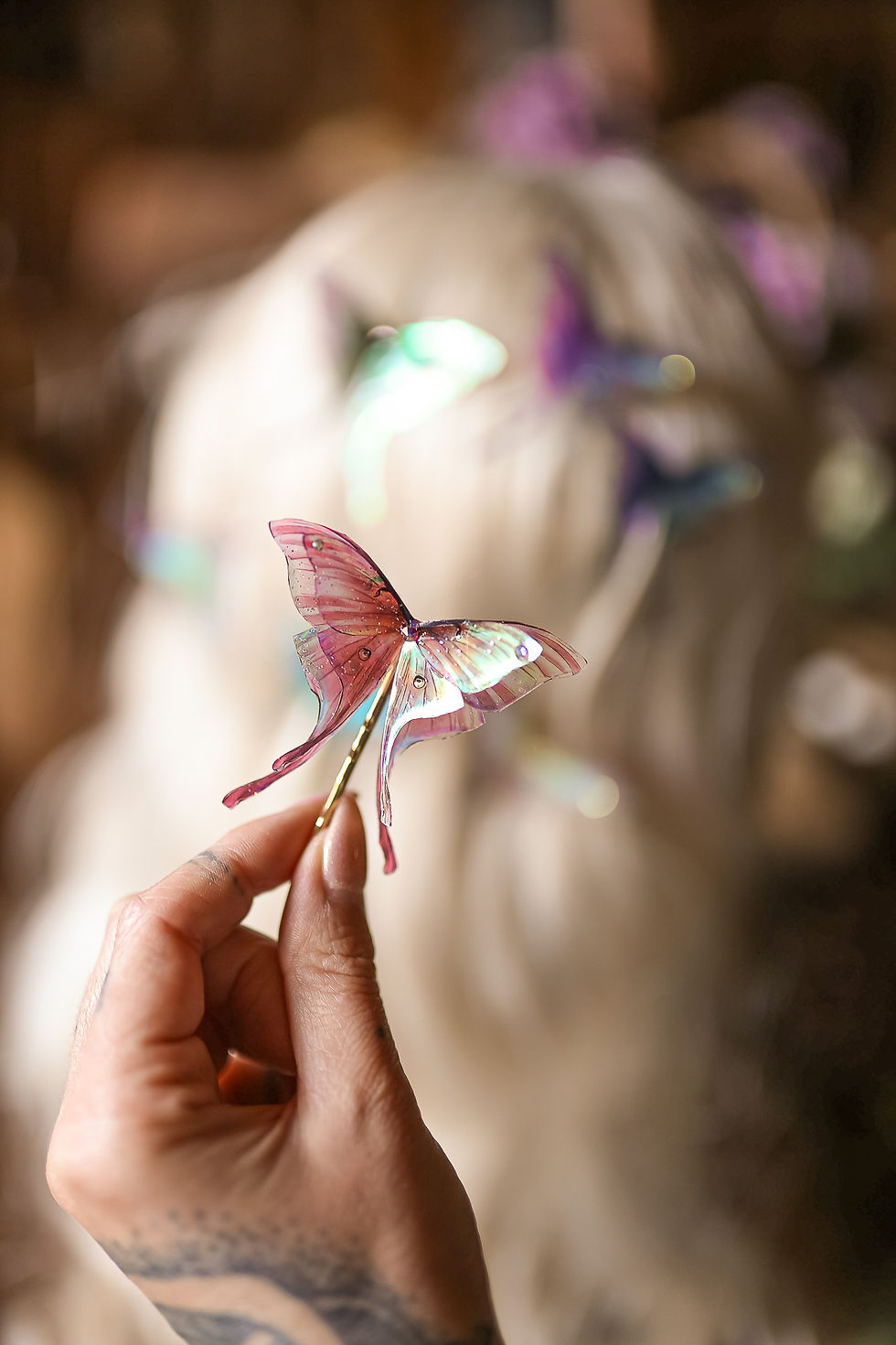 Miniature : Papillon Lune - barrette
