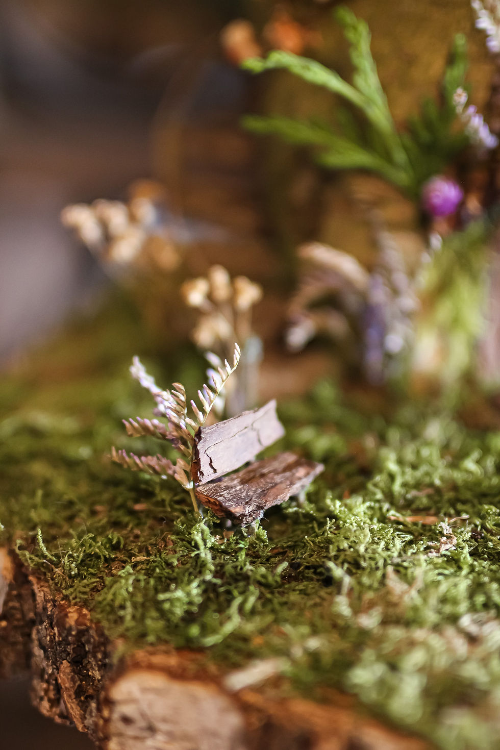 Thumbnail: Tour des Elfes