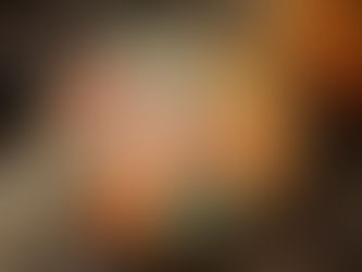 La Dame aux Pinceaux