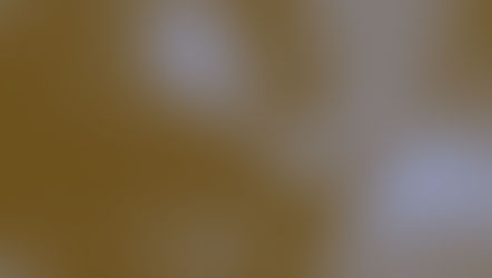 El tesoro de la lectura