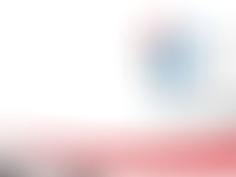 Mission de transition ou conseil ?