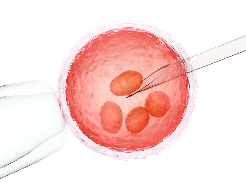 ovum-with-needle-artificial-insemination-vitro-fertilization.jpg