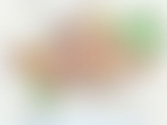 สีของผังเมือง