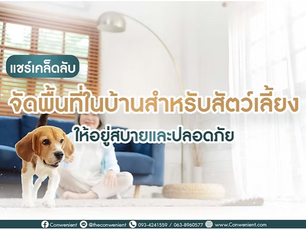 วิธีจัดพื้นที่ในบ้านสำหรับสัตว์เลี้ยงให้อยู่สบายและปลอดภัย