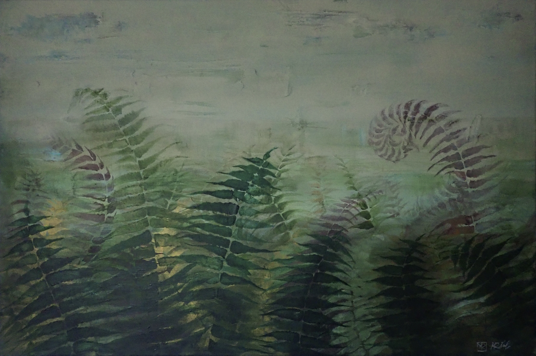 Ferns II