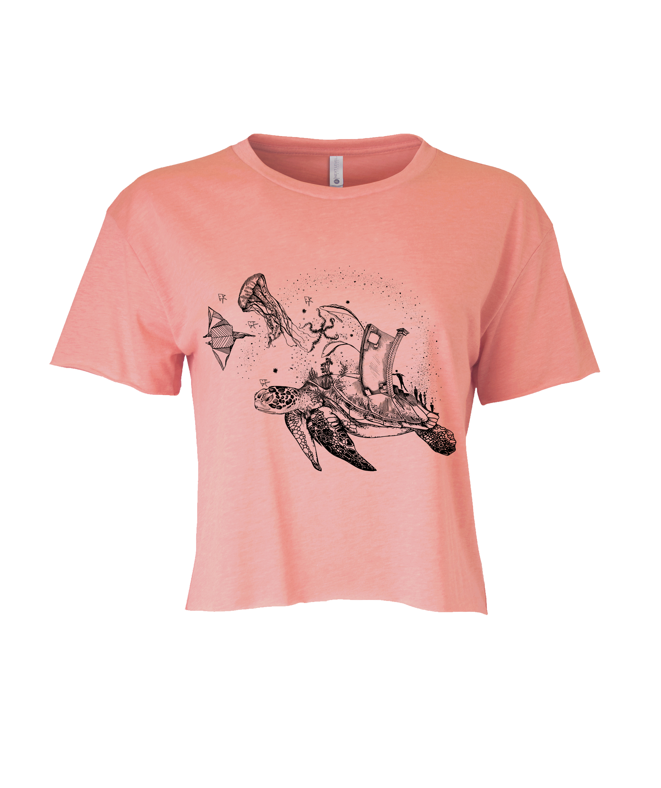 " Tortuga voladora "