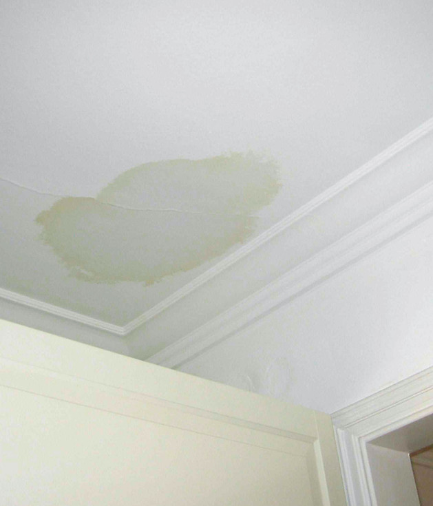 LeakInCeiling.jpg