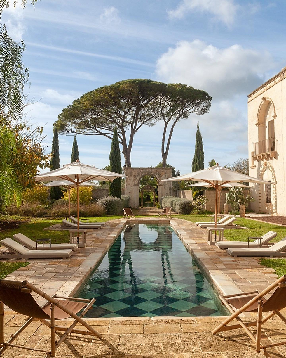 Thumbnail: Pinus Pinea