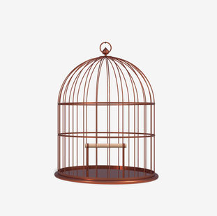caged bird