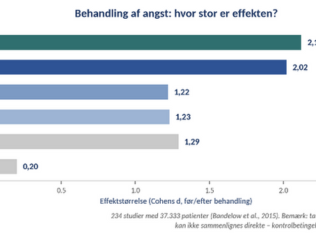 Behandling af angst: hvad virker?