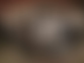 Michael Schenker Fest To Tour North America