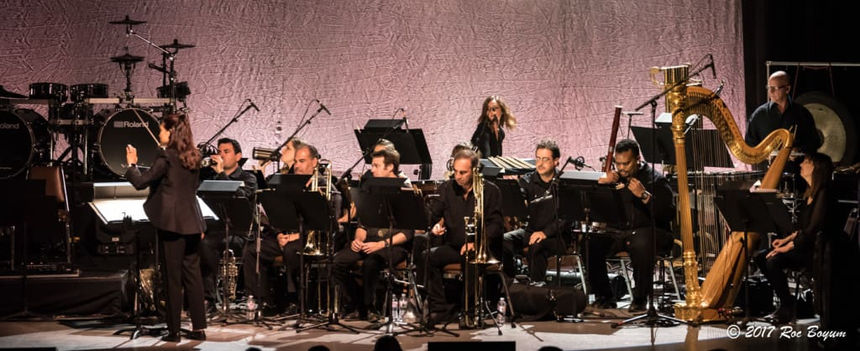 Evanescence-GreekTheater-LosAngeles_CA-20171015-RocBoyum_11