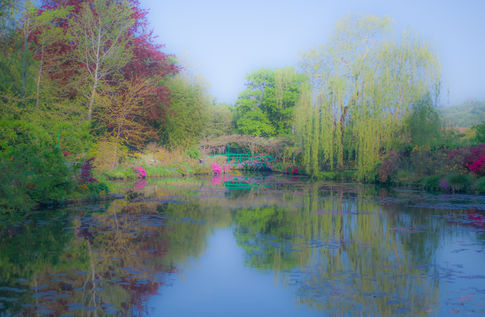 Lily Pond .01 | Giverney [2019]