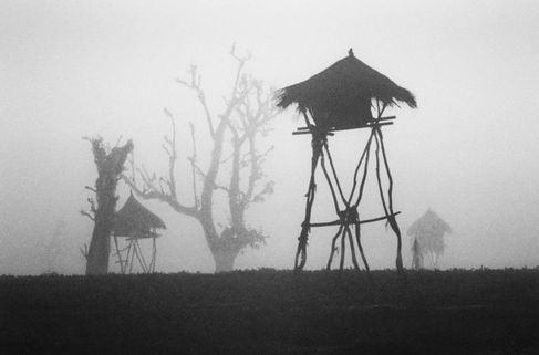 Watchtowers | Chitwan National Park, Nepal [1985]